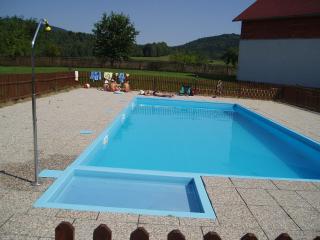 Restaurace a Penzion Česká Hospoda - Heřmanice - 9