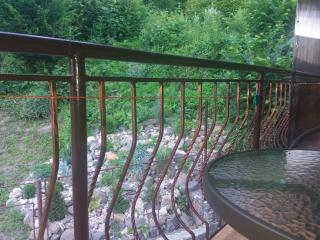 U Lyudmily - Karpaty - 5