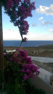 Studios Rodi - Faros - 1