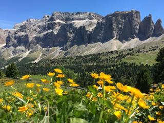 Residence La Planta - 1