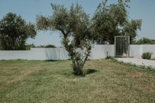 Villa Despoina - Paphos - 5