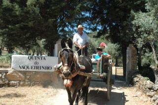 Quinta Do Vaqueirinho - Agro-Turismo - Marvão - 2