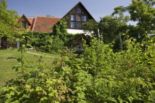 Altes Gehöft am Lormanberg - Kirchberg an der Raab - 4