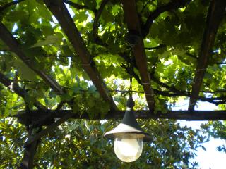 Marelmy - Mouresi - 4