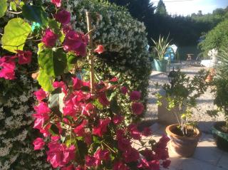 B&B Maison Brora - Lorgues - 6