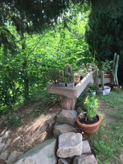 Gîte Le Vieux Ruisseau Sauna et Massages - 7