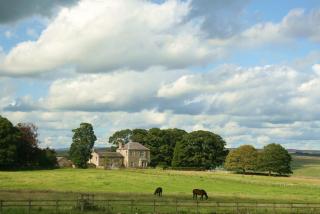 Dunns Houses Farmhouse B&B - 8