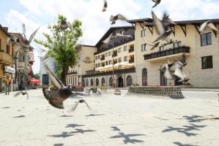 Hotel Carmen - Predeal - 2