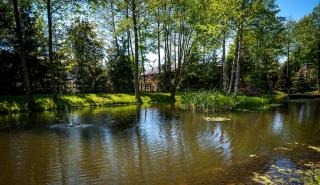 Akademia Kuraszków - 1