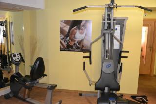 Hotel Alpina nature-wellness - 1