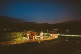 Green Resort Glamping - Radlje ob Dravi - 6