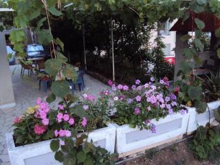 Apartments Papan - Petrovac na Moru - 3