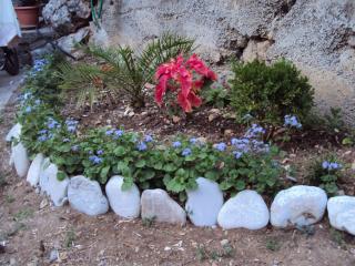 Apartments Papan - Petrovac na Moru - 5