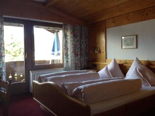 Hotel Garni Almhof - Seefeld in Tirol - 4