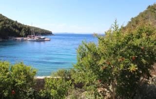 Apartment Stiniva - Hvar - 7