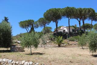 Podere L'Isolella - Lacona - 3