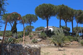 Podere L'Isolella - Lacona - 2