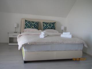 Guest House Baranin Pitomine - Žabljak - 0