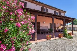 Agriturismo Quercetelli - Castiglione del Lago - 2