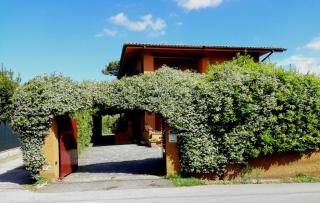 Il Gelsomino - Forte dei Marmi - 3