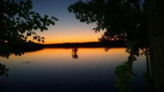 Pension am Krossinsee - 4