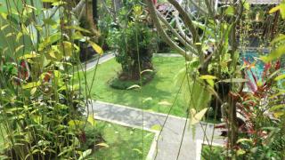 Chez Ida - Ubud - 3