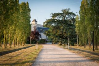 Le Relais Des Landes - Demeures et Chateaux - Ouchamps - 9