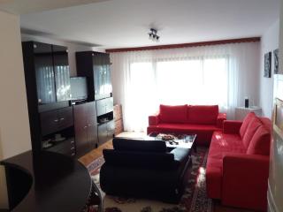 Lajlas Apartment - Sarajevo - 5