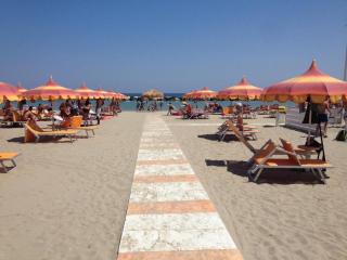 Hotel & Residence Cavalluccio Marino - Rimini - 3