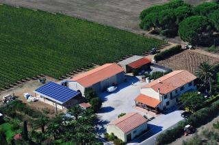 Agriturismo La Rondine - Bolgheri - 3