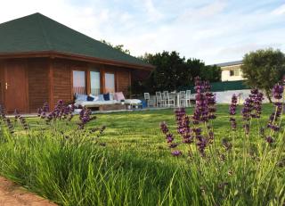 Casita de madera - 7