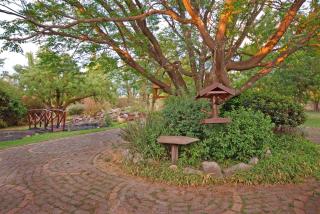 Hoopoe Haven Guest House - 4