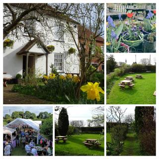 The Furze Bush Inn - Newbury - 4