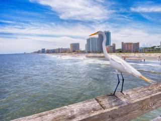 Remodeled Direct Oceanfront, Amazing Views Modern! - 2