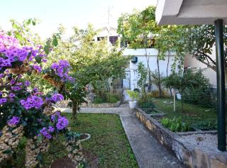 Apartment Mirjam - Bibinje - 1