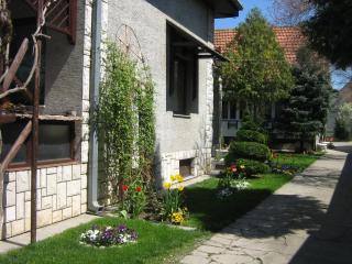 Domaćinstvo Opavski - Bački Petrovac - 8