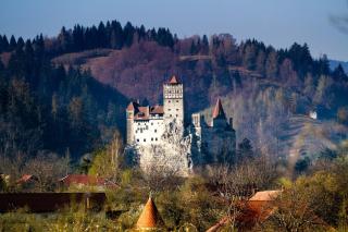 Pensiunea Gentiana - 9