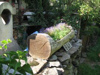 B&B Baita Evelina - San Giorio - 5