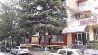 Apartment Goran and Milena - Ohrid - 6
