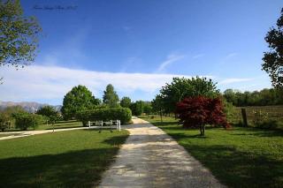 Albergo Julienne - Arba - 3