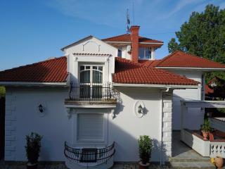 3 Bedroom Private floor in Luxury Mansion - Budapest - 8