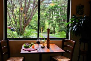 Rapaura Watergardens - Tapu - 8