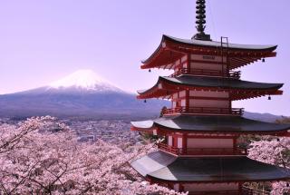 Mt.Fuji Cabin & Lounge Highland Station Inn (Capsule Hotel) - Fujikawaguchiko - 4