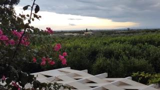 Agriturismo Donna Clementina - 3