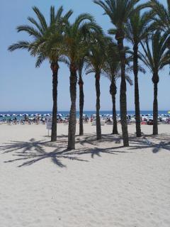 La Vila - Villajoyosa - 9