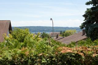 Alpes et Lac - La Neuveville - 1