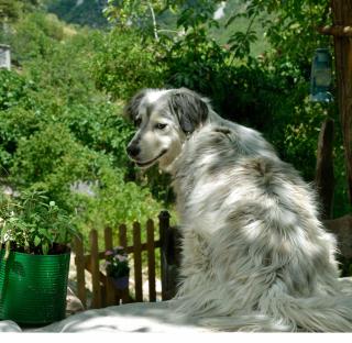 Agriturismo Slowcanda - 2