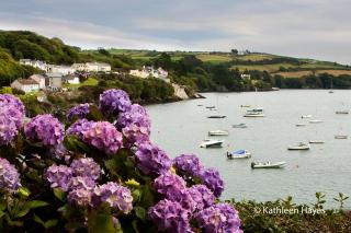 Bay View B&B Glandore - Glandore - 9