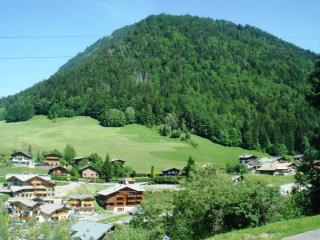 Chalet Leslie - Morzine - 4