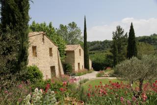 Chambres d'Hôtes Aux Tournesols - Malaucène - 2